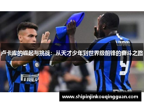 卢卡库的崛起与挑战：从天才少年到世界级前锋的奋斗之路