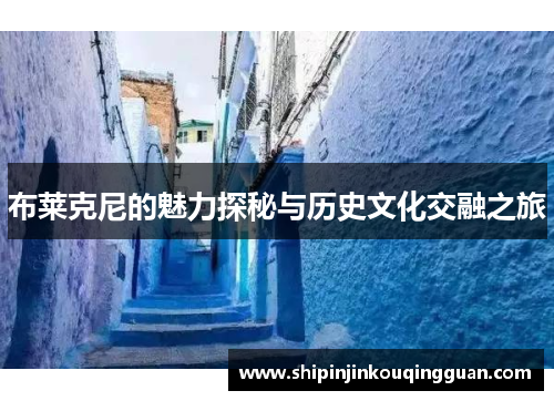 布莱克尼的魅力探秘与历史文化交融之旅